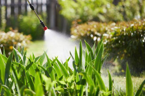 24/7 Emergency Wasp Removal experts in Pamplico, SC