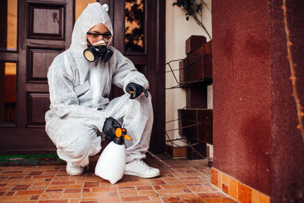 Reliable Wasp Removal contractor in Pamplico, SC by Show Me Pest Control